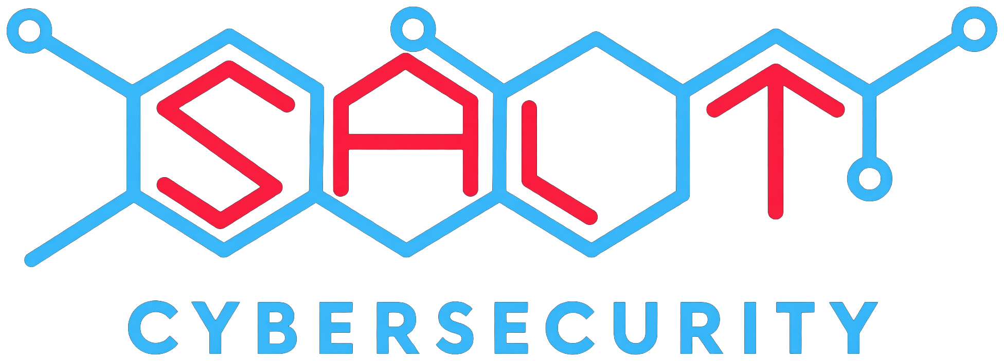 Salt Cybersecurity